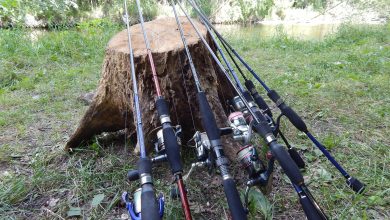 Photo of Что выбрать новичку (ну совсем начинающему) — спиннинг или удочку?