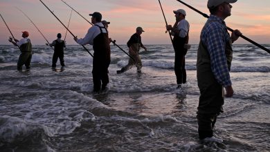 Полезные советы бывалых рыбаков начинающим 10 Photo of Полезные советы бывалых рыбаков начинающим