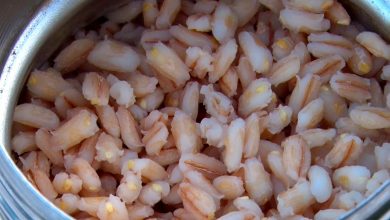 Готовим перловку для рыбалки в микроволновой печи 4 Photo of Готовим перловку для рыбалки в микроволновой печи