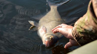Выбор правильных снастей, для лова лещей, и оснастки фидерных удилищ 7 Photo of Выбор правильных снастей, для лова лещей, и оснастки фидерных удилищ