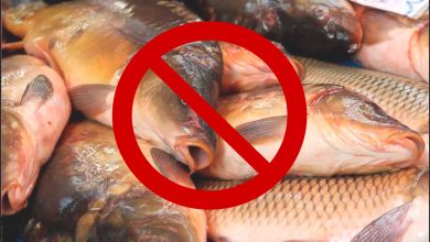 Закон РФ о нормативах бесплатного вылова рыбы для частных лиц
