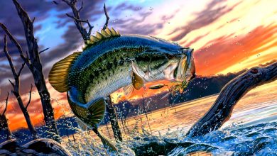 Особенности октябрьской рыбалки 8 Photo of Особенности октябрьской рыбалки