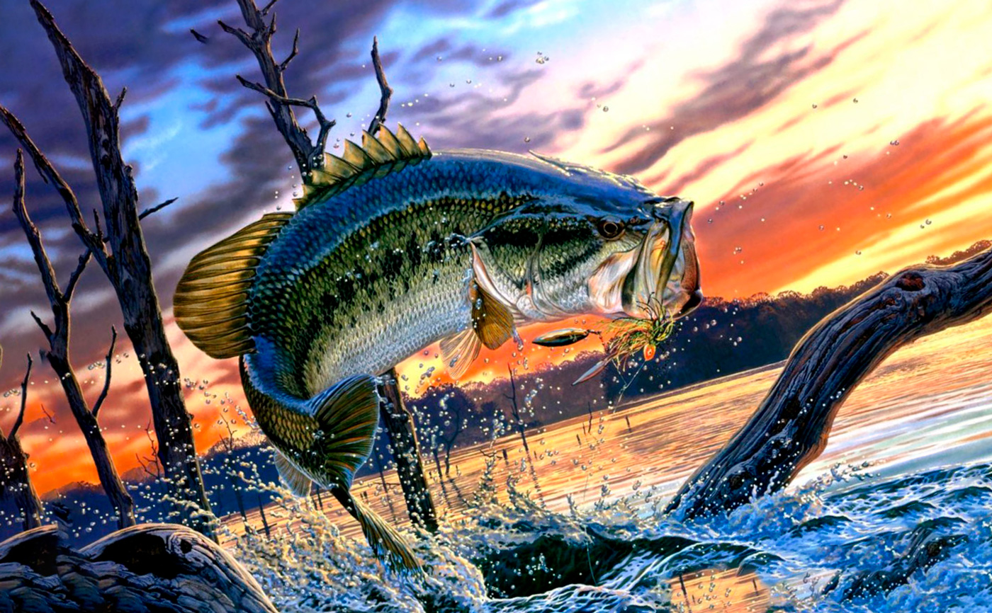 Красивые картины про рыбалку