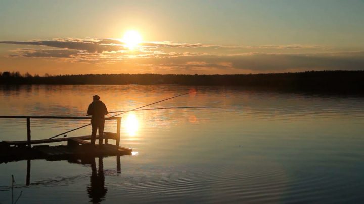 Какая рыбалка лучше: утренняя или вечерняя