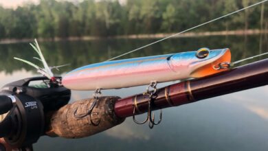 Почему рыболовы покупают японские снасти? 48 Photo of Почему рыболовы покупают японские снасти?