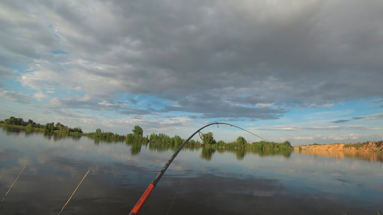  Фидерная рыбалка на Ахтубе - видео и секреты удачного лова 
