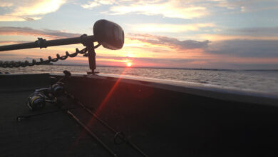 Ваш катер к рыбалке подготовит BoatLab.Pro! 60 Photo of Ваш катер к рыбалке подготовит BoatLab.Pro!