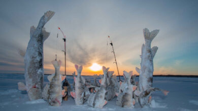 Тонкости зимней рыбалки: Как обеспечить стабильный клев?  1