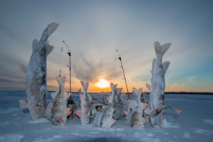 Тонкости зимней рыбалки: Как обеспечить стабильный клев?  1