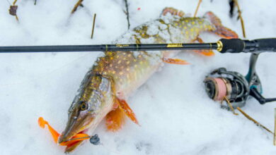 Зимний спиннинг — лучшая рыбалка зимой 1