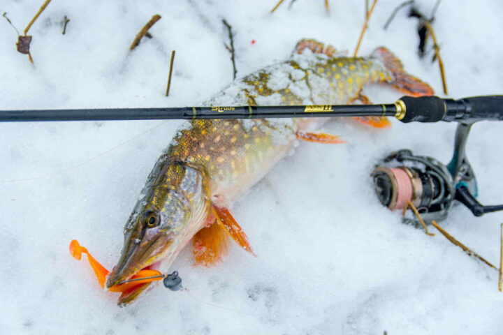 Зимний спиннинг — лучшая рыбалка зимой 4